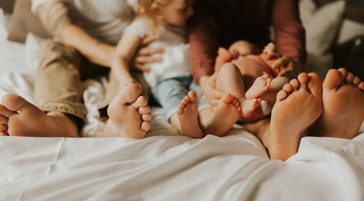 the BRIDGE collection